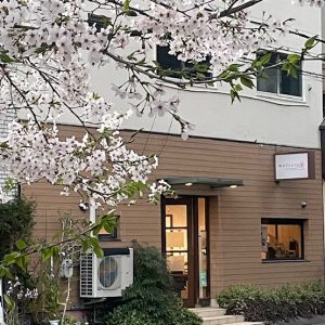 マチエール最後の桜と